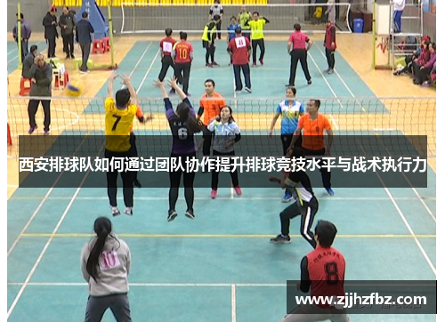 西安排球队如何通过团队协作提升排球竞技水平与战术执行力