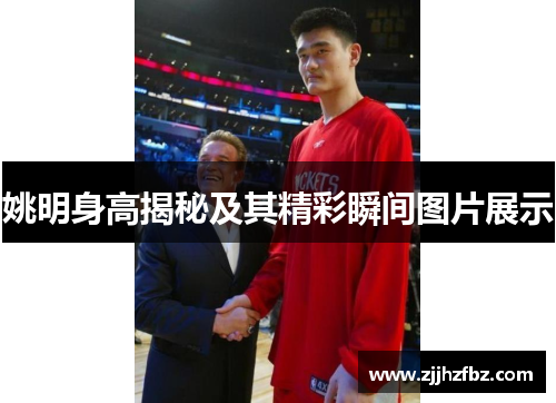 姚明身高揭秘及其精彩瞬间图片展示