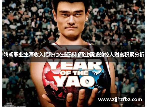 姚明职业生涯收入揭秘他在篮球和商业领域的惊人财富积累分析