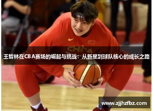 王哲林在CBA赛场的崛起与挑战：从新星到球队核心的成长之路